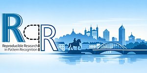 RRPR 2026 Workshop Accepted @ ICPR 2026, Lyon, France