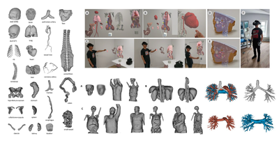 2024 - Biomedical Engineering/Biomedizinische Technik
